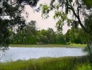 land for sale bluffton sc, lots for sale bluffton sc, bluffton lots for sale, bluffton land for sale, land for sale by owner in bluffton sc, land for sale near bluffton sc, palmetto bluff lots for sale, hampton lake lots for sale, lots for sale in hampton hall bluffton sc, land for sale bluffton sc, lots for sale bluffton sc, bluffton land for sale, land for sale by owner in bluffton sc, land for sale near bluffton sc, palmetto bluff lots for sale